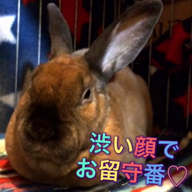 まめまめの画像