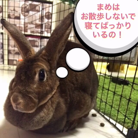 楽しい！の画像