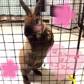 ヤバイ！の画像