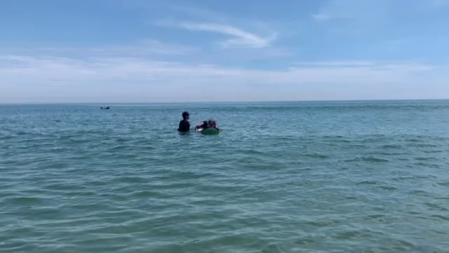 熱いぜ夏スクールの記事動画