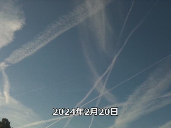 地球、大爆笑〜の記事動画
