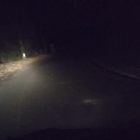 突然、車の前に野うさぎがの画像