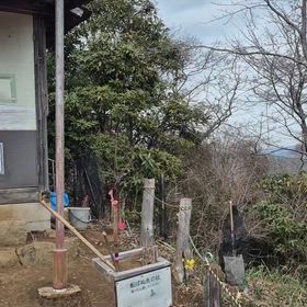 2026/02/21の画像