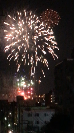 今年も花火をの記事動画