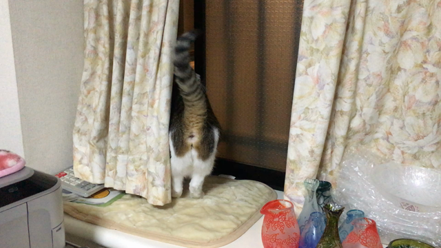 2019.03.31の記事動画