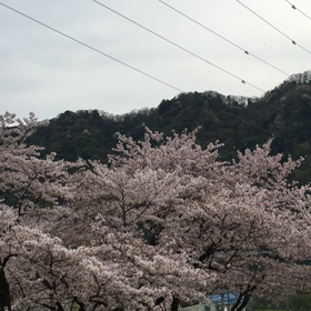降るの画像