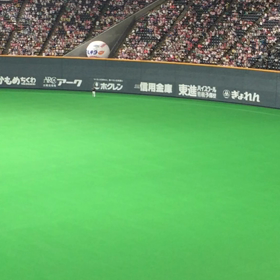 山本由伸の画像