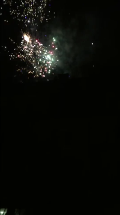 謹賀新年の記事動画