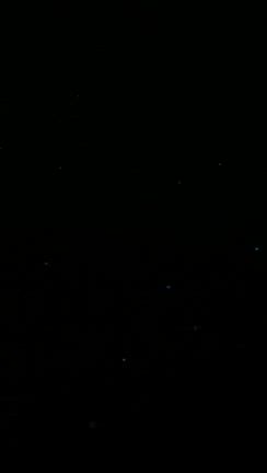 2024 半夜釣行　初めての赤潮の記事動画
