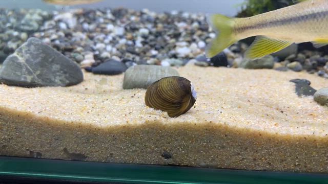 お盆休みスタートの記事動画