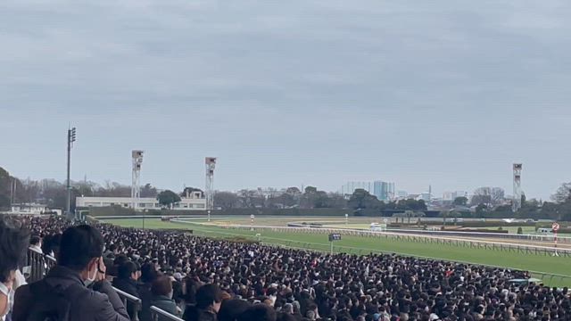 がてけんの競馬放浪記【東京競馬場】の記事動画