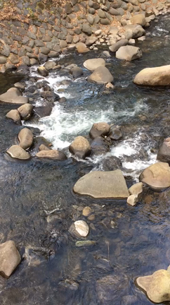 癒しの旅への記事動画