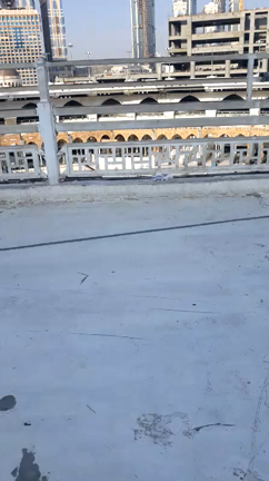 聖地の記事動画