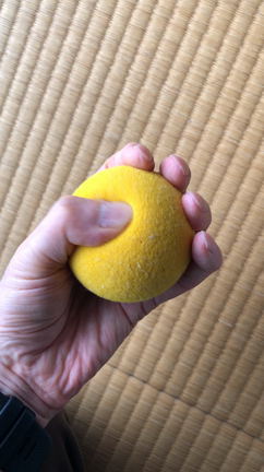 今日の発見！　ボールを握れる、いや、包めるようになった！（笑）の記事動画
