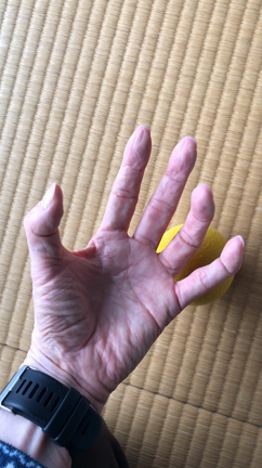 今日の発見！　ボールを握れる、いや、包めるようになった！（笑）の記事動画