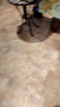 研修に参加しましたの記事動画