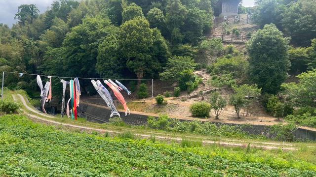 三木市竹とんぼ行きましたの記事動画