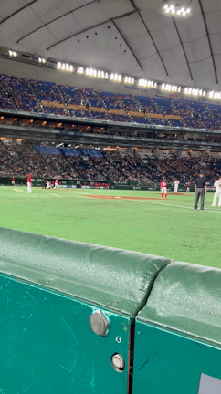 野球観戦の記事動画
