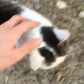冬休み終了！の画像