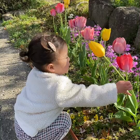 チューリップに向かって…の画像