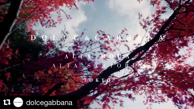 DOLCE&amp;GABBANAの記事動画