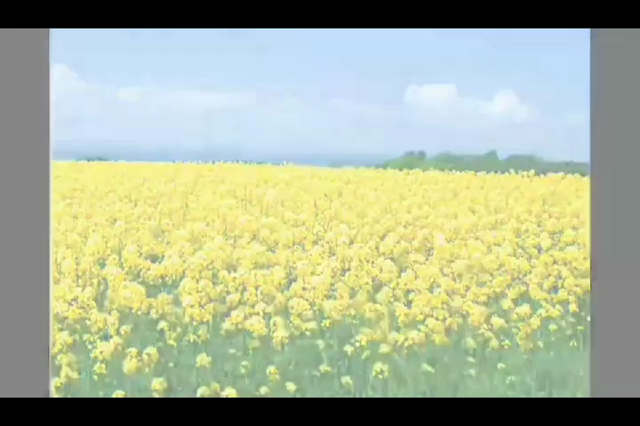 『うっぴ〜二人会』オンライン公演✨第６弾！！の記事動画