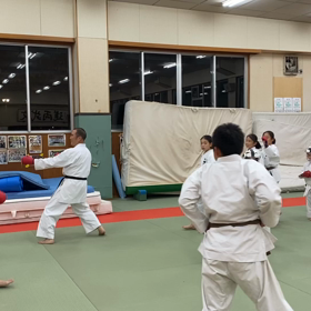 当たらなければどうということはない(ꐦ°᷄д°᷅)の画像