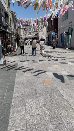 ☆お散歩♪☆の記事動画