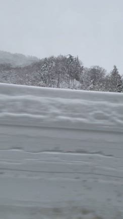 ☆クリスマス週間②☆の記事動画