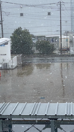 ☆雪〜☃️☆の記事動画