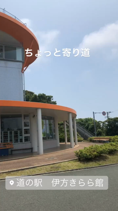 メヘンディ屋の休日～念願のアレ食べてきました～の記事動画