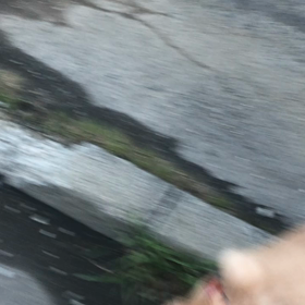 昨日の画像