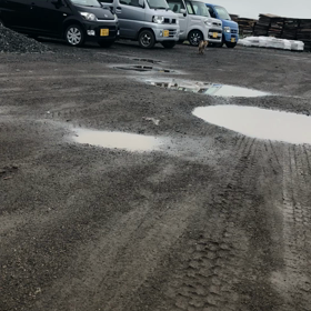 nowの画像