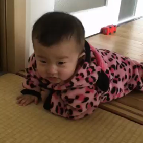 あらまの画像