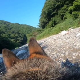 夏の思い出の画像