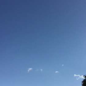 たこあげの画像