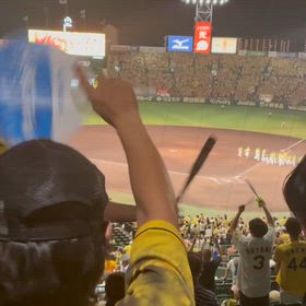 甲子園の画像