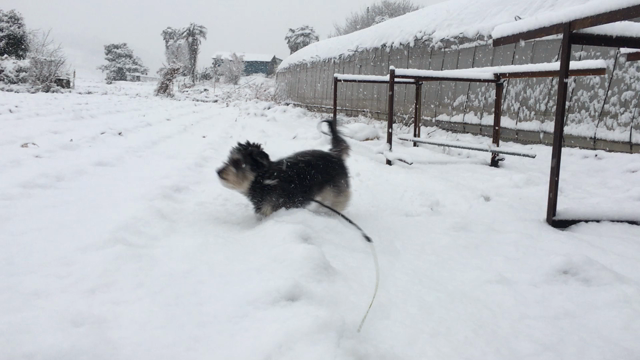 雪降って地かたまるの記事動画