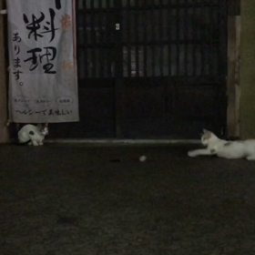 元気かなーの画像