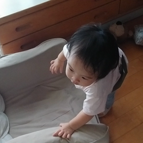 近況の画像