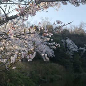 弱く小さい自分のまま生きていくの画像