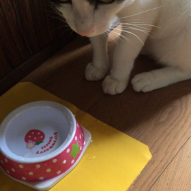 チキンジョージの画像