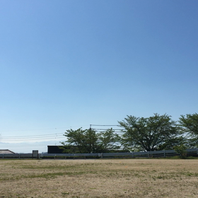 フォームチェック(動画あり パケット注意)の画像