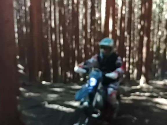 久し振りなお山の記事動画