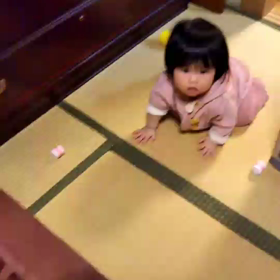 一歳をむかえてやっと…の画像