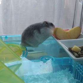 みんな違ってすごく良い。③の画像