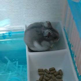 みんな違ってすごく良い。②の画像