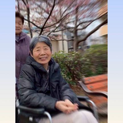 春のお散歩の記事動画