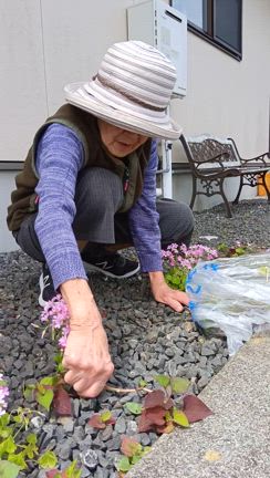 草むしり第3弾です。の記事動画