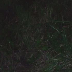 涼しいの画像